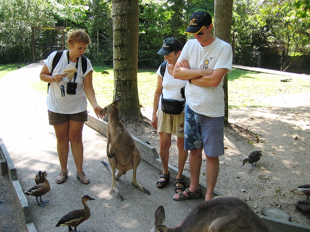 252 Wildlife Habitat Port Douglas.jpg
